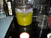 DSCN3037.jpg
