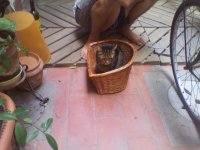 IMG_20120805_172144.jpg
