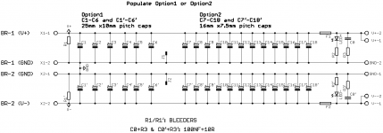 bulk cap bank-sch-R1.png