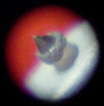 C    Aftermarket with Bonded tip and  adhesive crystalizing.jpg