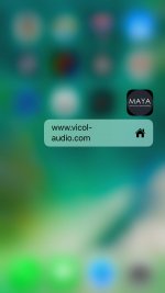 MAYA_1.jpeg