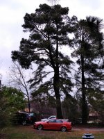 IMG_20180320_094605.jpg