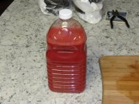 IMG_1103.jpg