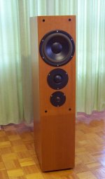 Dynaudio Confidence 5 envisioned.jpg