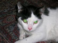 DSCN4358.JPG