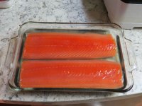 IMG_1111.jpg