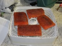 IMG_1114.jpg