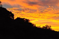 DSC_0330.JPG