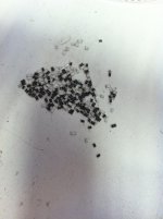Resistors Removed.jpg