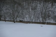 P1000625_x.jpg
