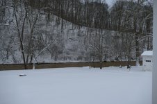 P1000626_x.jpg