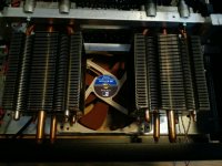 noctua.jpg