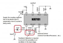 NJU7181-caps.jpg
