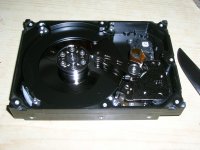 DSCN4379.JPG