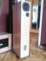 WP_20160320_001.jpg