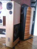 WP_20160320_002.jpg