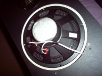 Sony E44 Original woofer.jpg