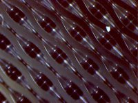 2017-03-07 16_06_53.jpg