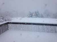 March 1 snow.JPG