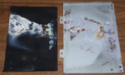 insulation and lid.jpg