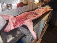 DSCF4900.JPG