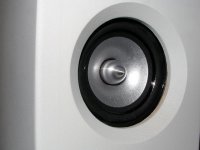 detail.jpg
