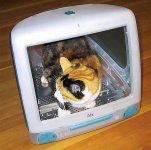 imac-pattie.jpg