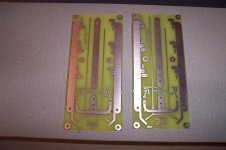 brd (medium).jpg