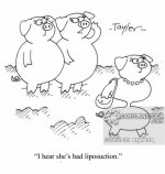 animals-lipo-fat-overweight-plastic_surgeon-cosmetic_surgery-ktyn159_low.jpg
