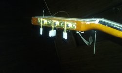 20180407_232424.jpg