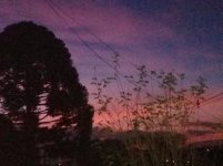 20180701_181435.jpg