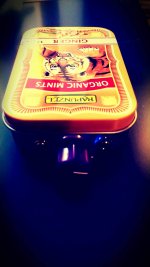 P_20180606_175003_EFF.jpg