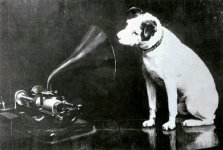 OriginalNipper_opt.jpg