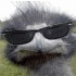struzzo.gif