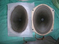 DSCN4507.jpg