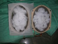 DSCN4508.JPG
