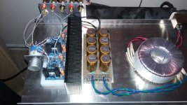 amp1.jpg