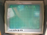 oval stuffed @ 40Hz.JPG