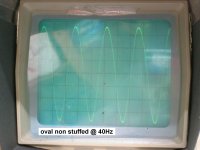 oval non stuffed @ 40Hz.JPG