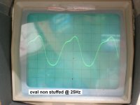 oval non stuffed @ 25Hz.JPG