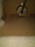 IMG_20180428_114301.jpg