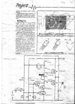 80 Watt mosfet amp.jpg