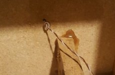 20180730_164544_crop_507x332-456x299.jpg 20180730_164544_crop_507x332-456x299.jpg