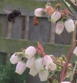 DSCF0445E2.jpg