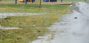 20180428_091628.jpg 20180428_091628.jpg