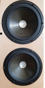 Woofers (Avalon maybe).JPG