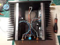 amp026.jpg