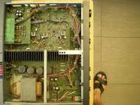 NAD 306 internals.jpg