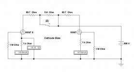 Garter A2.JPG