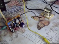 DSCI0229.JPG
